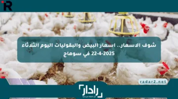 شوف الأسعار.. أسعار البيض والبقوليات اليوم الثلاثاء 22-4-2025 في سوهاج